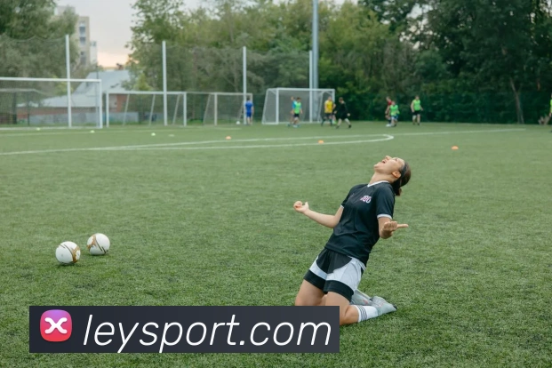 多媒体互动体验